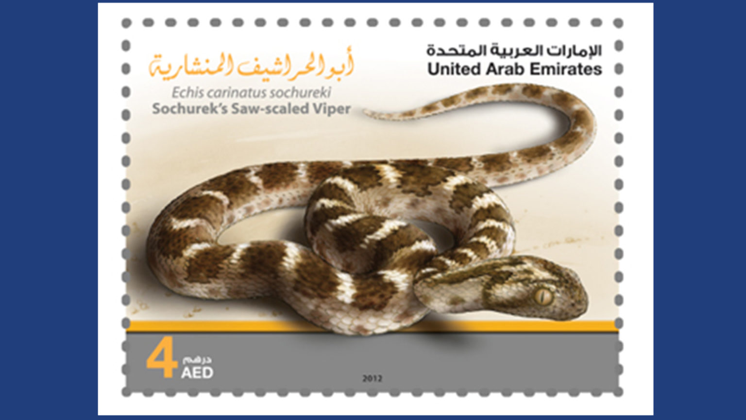 Desert Snakes in the UAE - Emirates Post Shop
