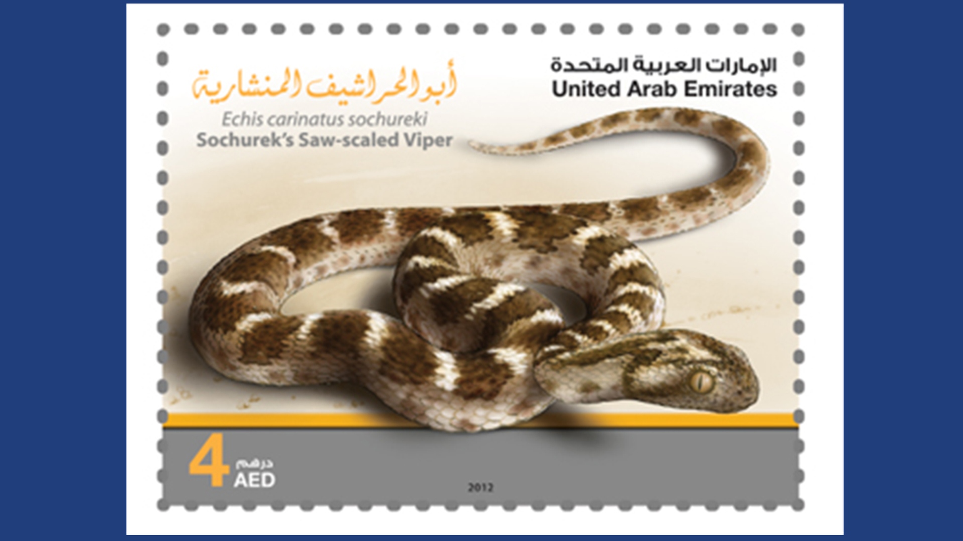 Desert Snakes in the UAE - Emirates Post Shop