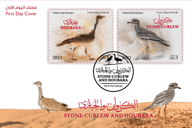 FDC-Stone-Curlew & Houbara