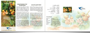 Emirati Hamboo Fruit Brochure
