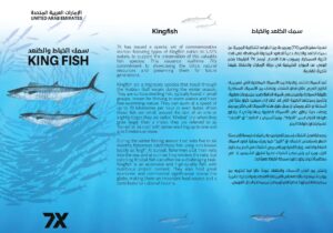 King Fish Flyer page